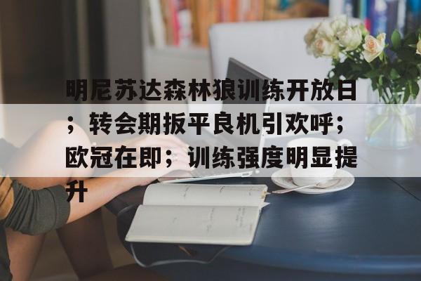 关于明尼苏达森林狼训练开放日；转会期扳平良机引欢呼；欧冠在即；训练强度明显提升的信息-星空体育下载